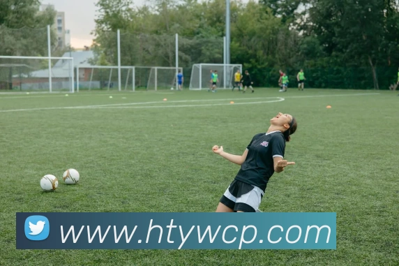 数据分析功能