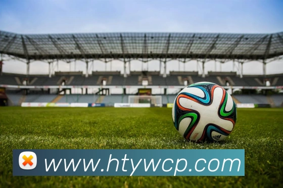 买球官方APP 封面图